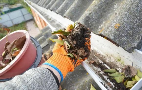 Gutter Cleaning Adelaide