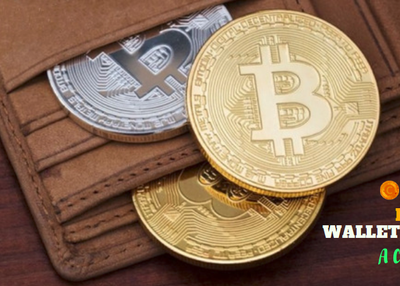 Bitcoin Wallet Development – A Complete Guide