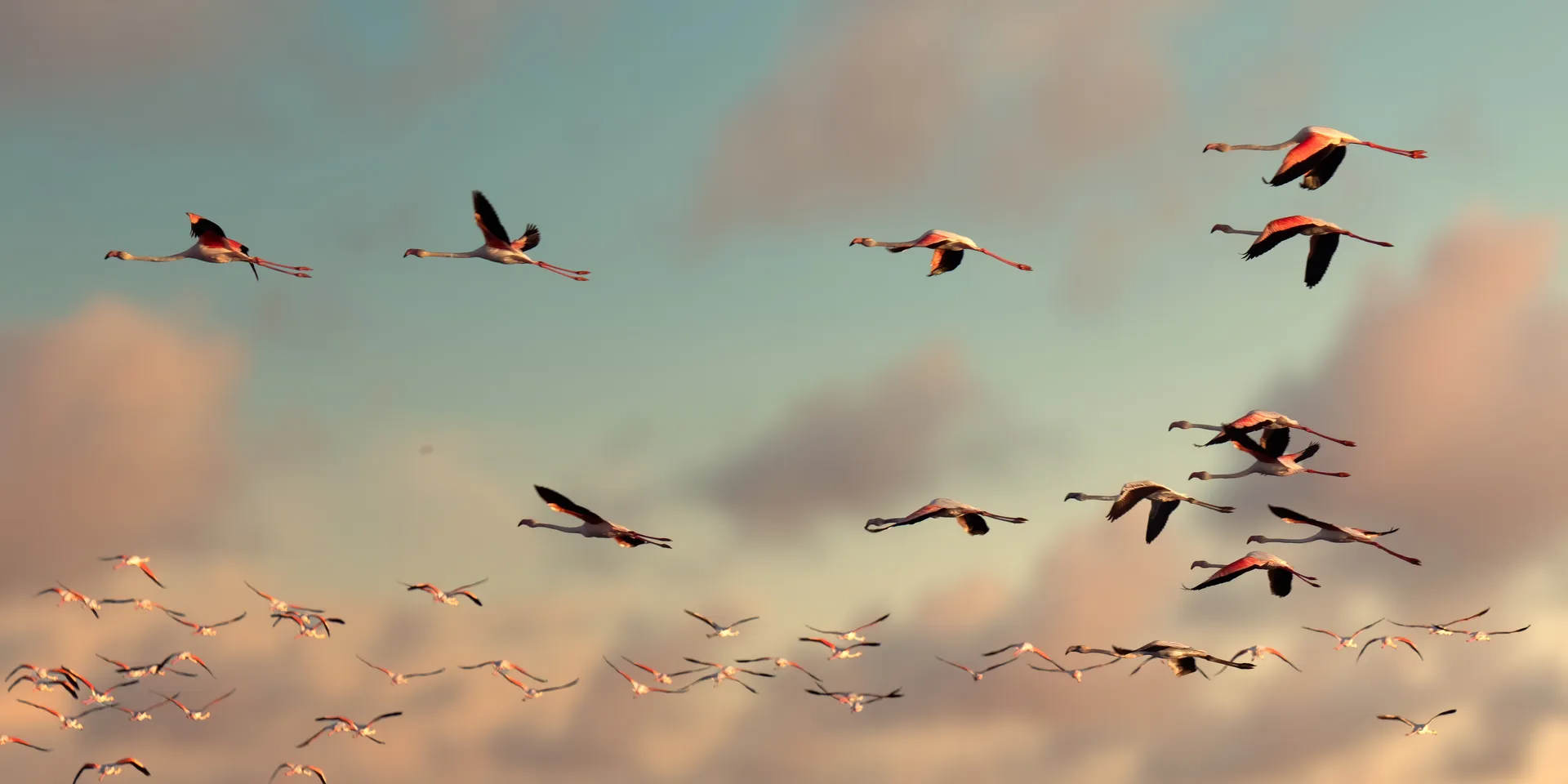 Why Does the Hummingbird Moth Hover Like a Tiny Drone?