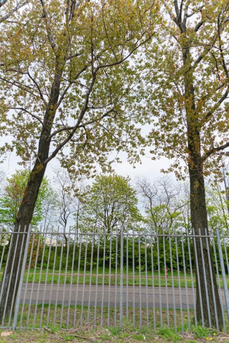 Enhance Your Curb Appeal with Professional Fence Staining Companies