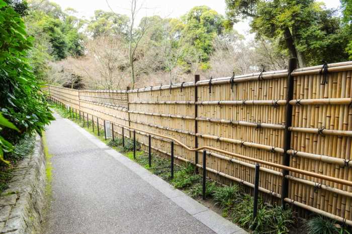 Affordable and Reliable Fence Company Near You