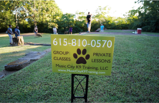 Why Choose Group Dog Training Classes for Your Canine Companion?