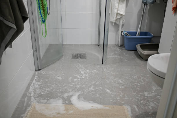 Restore Your Space with Expert Water Damage Services in New York