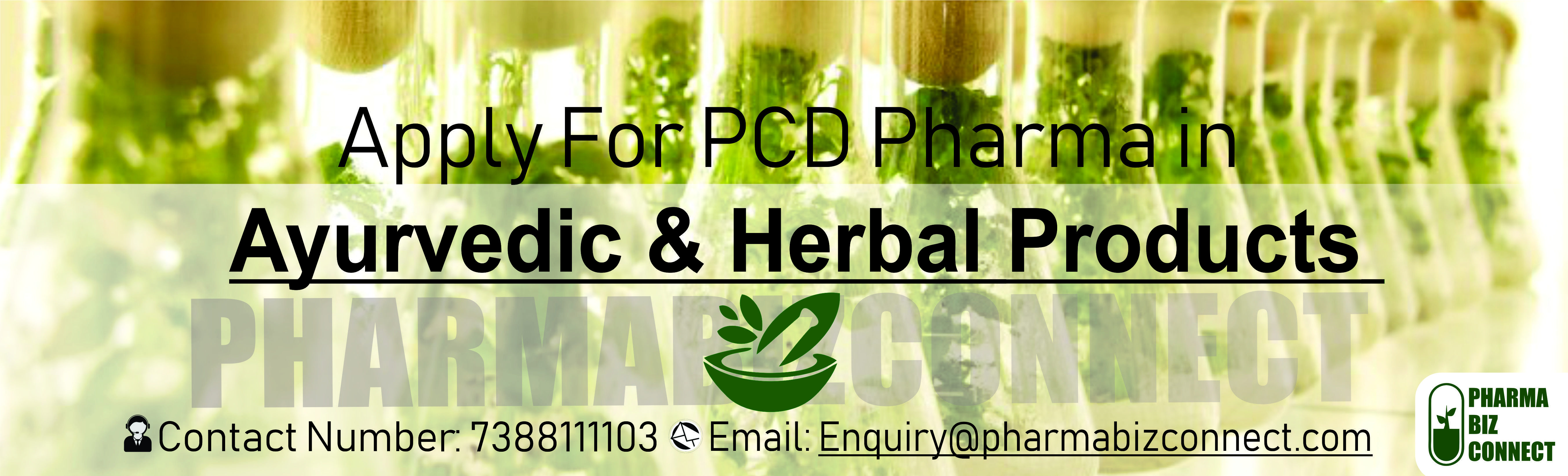 Current Market Scenario in Ayurvedic PCD Pharma