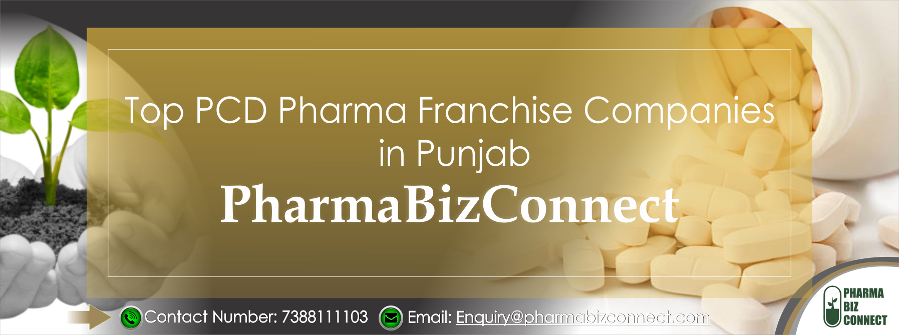 Top PCD Pharma Franchise Companies in Punjab 2019