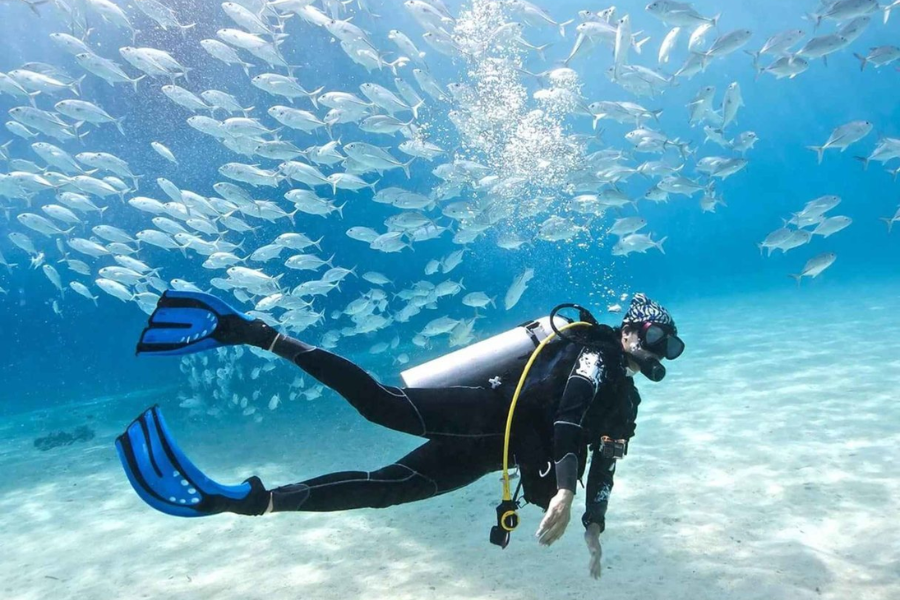 Scuba Diving In Goa: Discover the Ocean’s Secrets