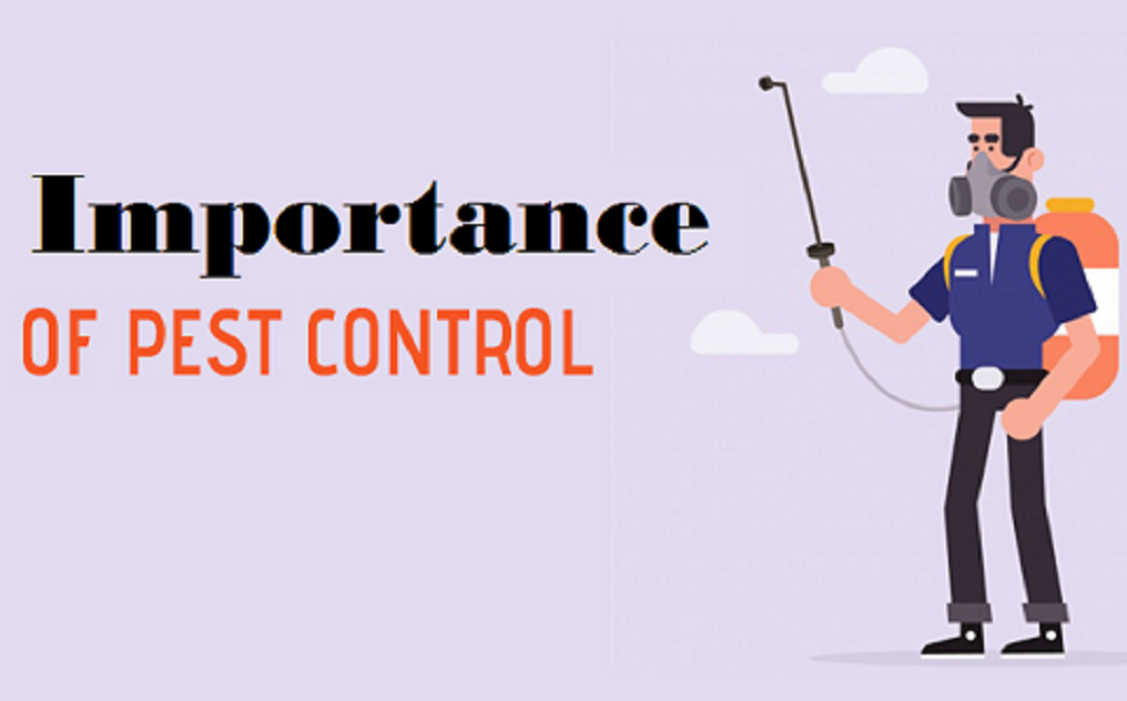 Importance of Pest Control
