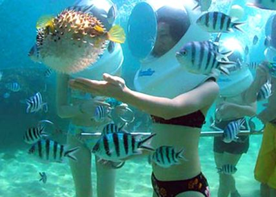 Amazing 15 Package for SEA Walk in Andaman ( UPDATED ) 2019