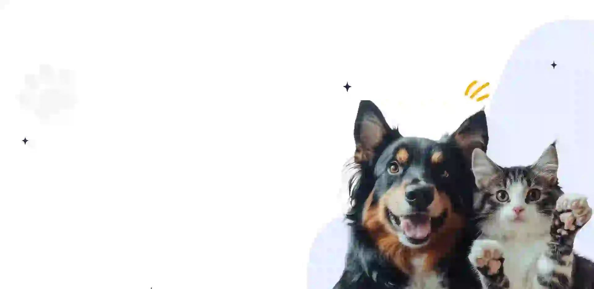 The Rise of Animal Medicine in Modern Veterinary Science