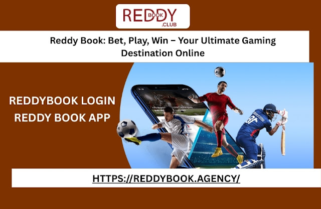 Inside the Reddybook Online Betting Market for Sports and Casino Fans
