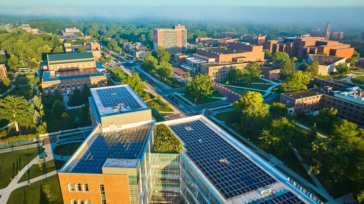 How Your Business Can Benefit from Commercial Solar Panels