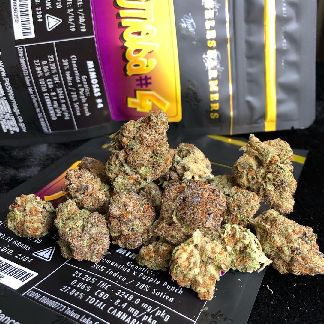Jungle boys weed for sale at darkmarkete.com