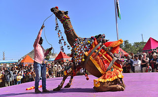 Amazing Pushkar Fair in Rajasthan