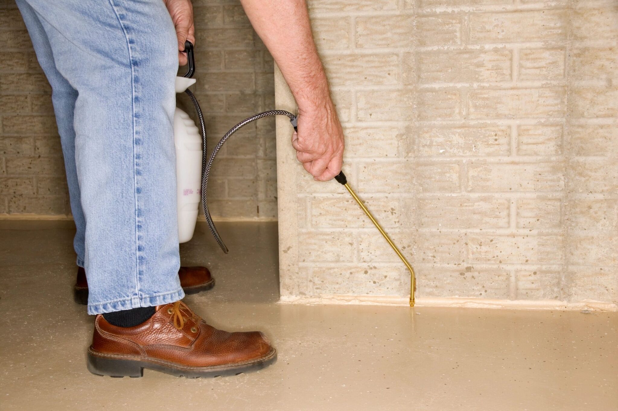 Keep Your Home Pest-Free with Dependable Press Control in Newport News