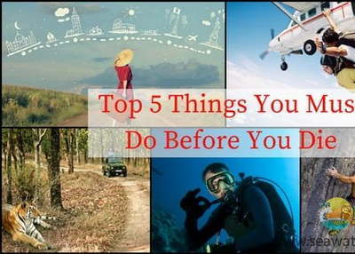 Top 5 Things You Must Certainly Do Before You Die