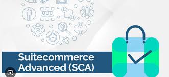 The Role of a NetSuite SCA Expert in Modern eCommerce Implementations