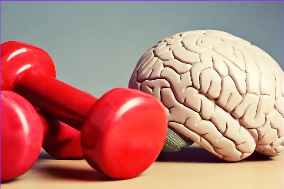 Best Brain Gym exercises | Neuro Hopes