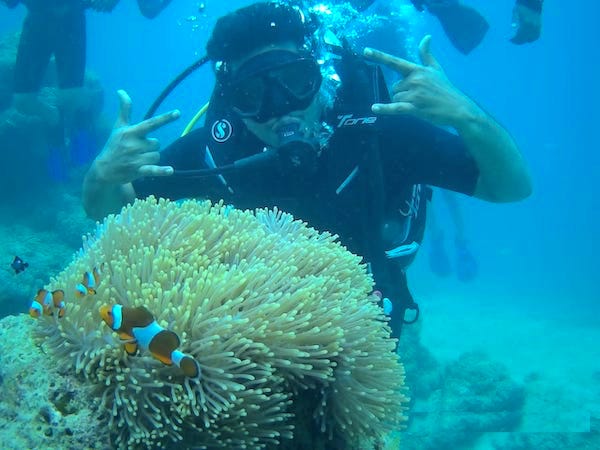 Beneath the Blue: Discovering the Best Scuba Diving Courses in Andaman