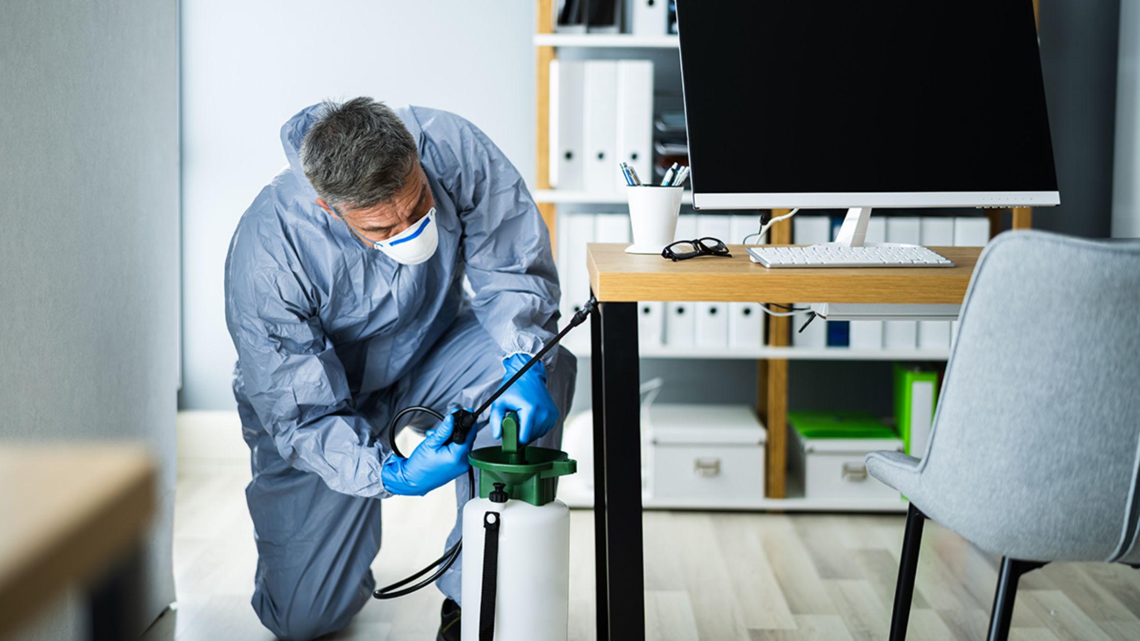 Emergency Pest Control in Dorset: When You Need Immediate Help