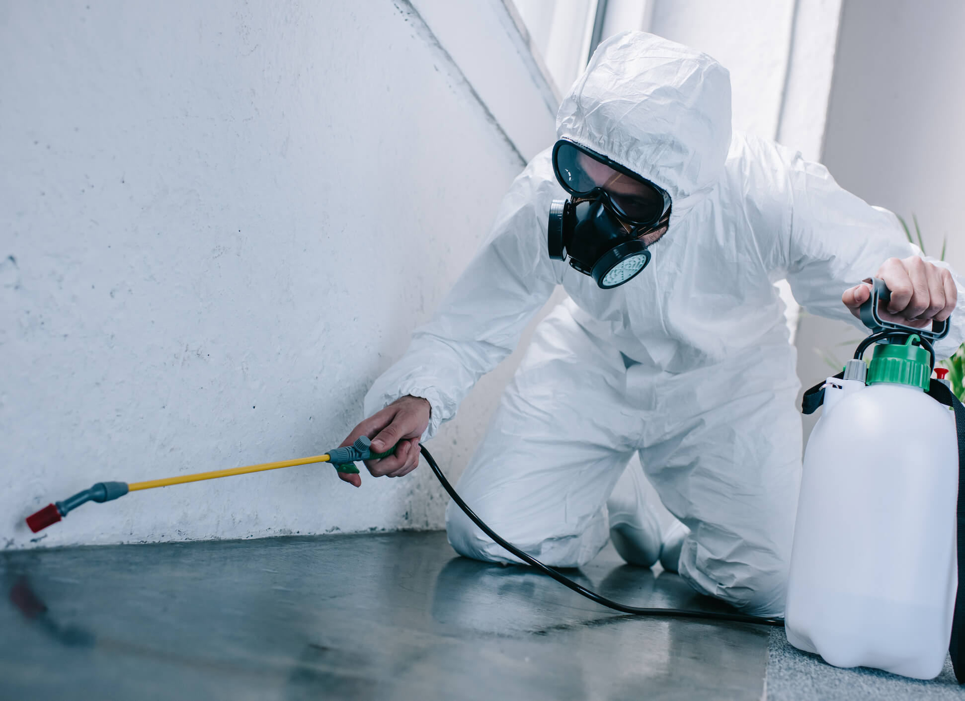 Can Cockroaches Fly? Identification and Risk Management