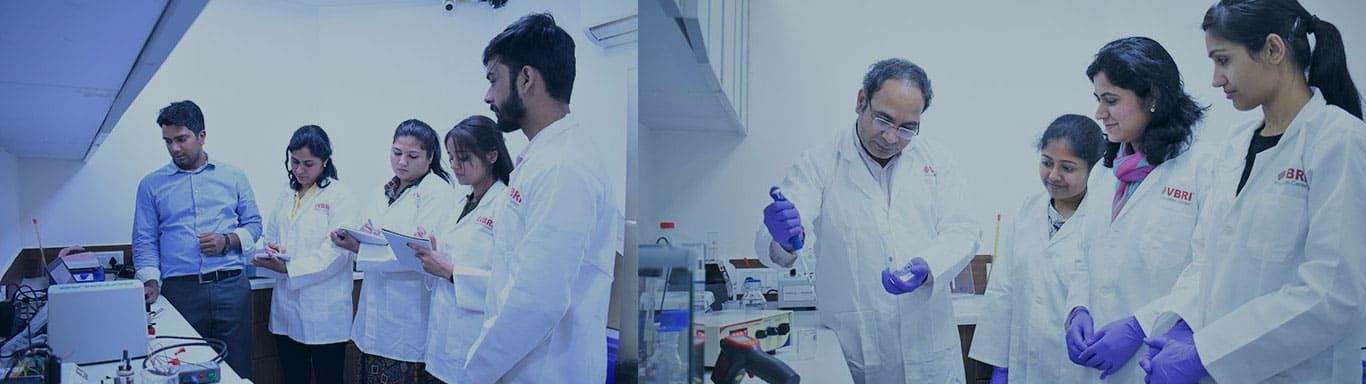 Research and Technology Services - VBRI