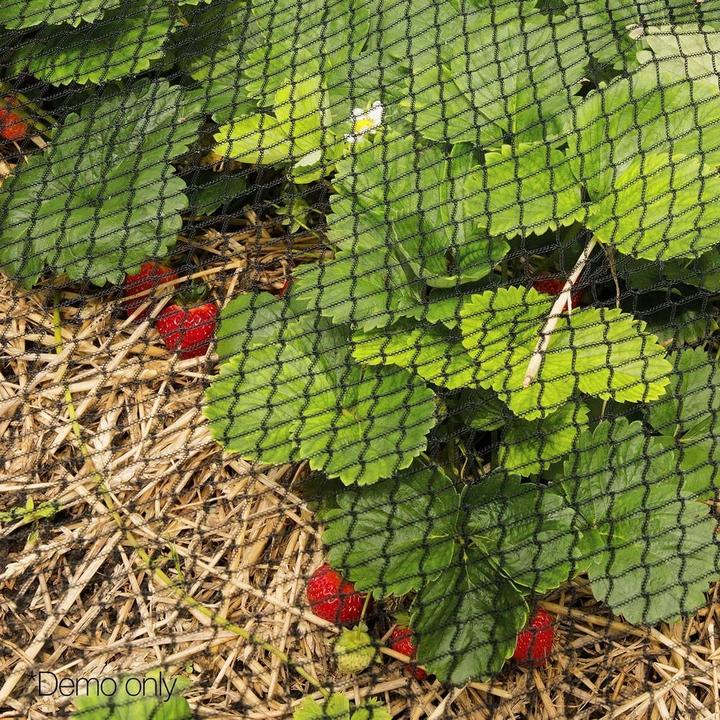 Save your plants and orchard with Instahut