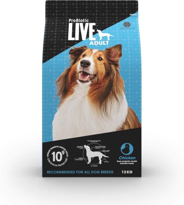 The Importance of Premium Dog Food for Your Pet’s Wellbeing