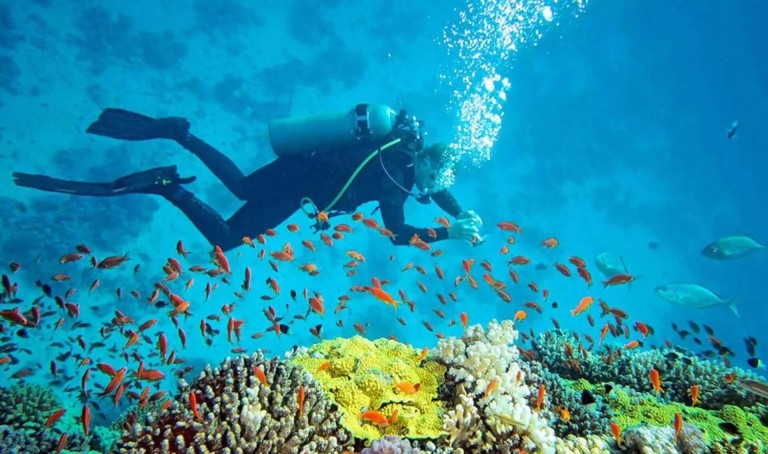 Your Diving Legacy: Transform Passion into Protection with the PADI Project AWARE Course