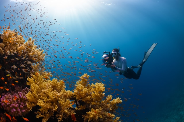 Discover the Magic of the Andaman Sea: Your Ultimate Guide to Snorkelling At Neil Island By Boat