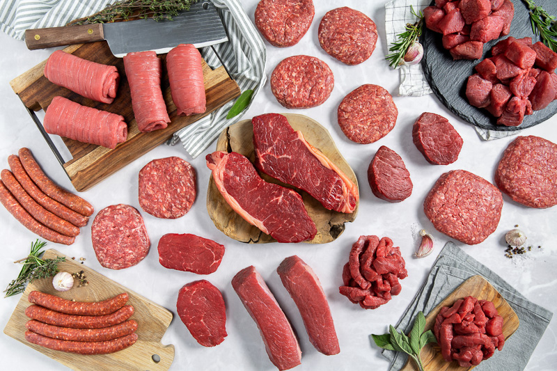 Carnivore Ernährung richtig umsetzen – Tipps und Rezepte