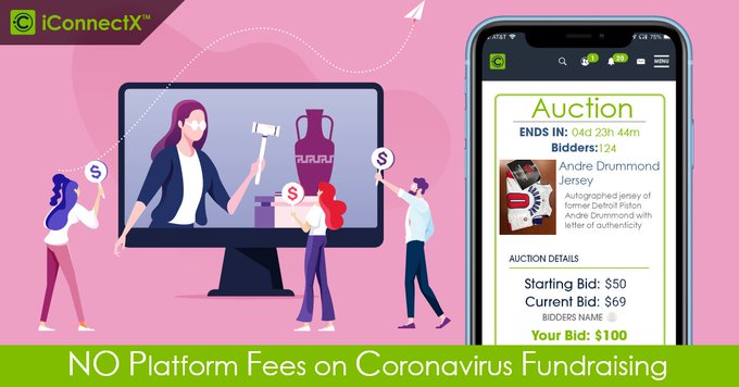 Online Auctions for Nonprofits