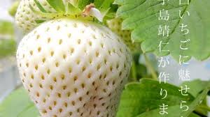 What is Solar Power?