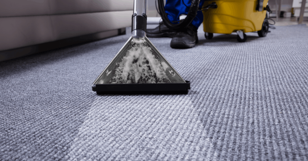 The Ultimate Guide to Carpet Maintenance for Pet Owners