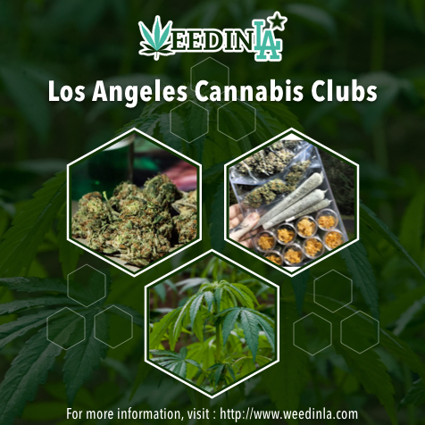 Brighter Side Of Marijuana