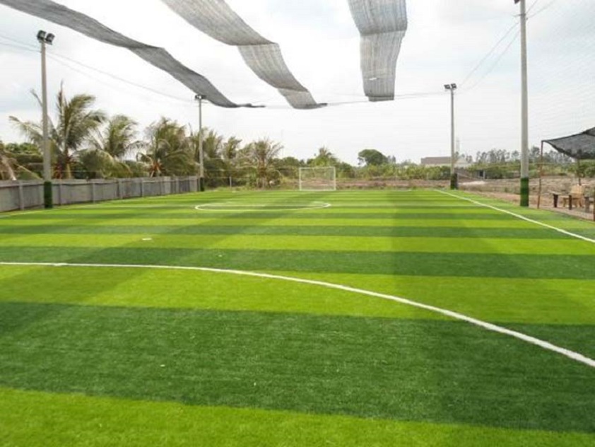 Learn all frequency enjoy information set football field cheap