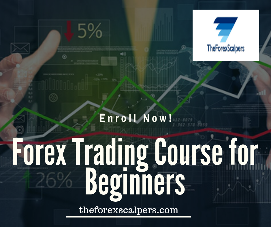 Forex Trading Course for Beginners - The Forex Scalpers