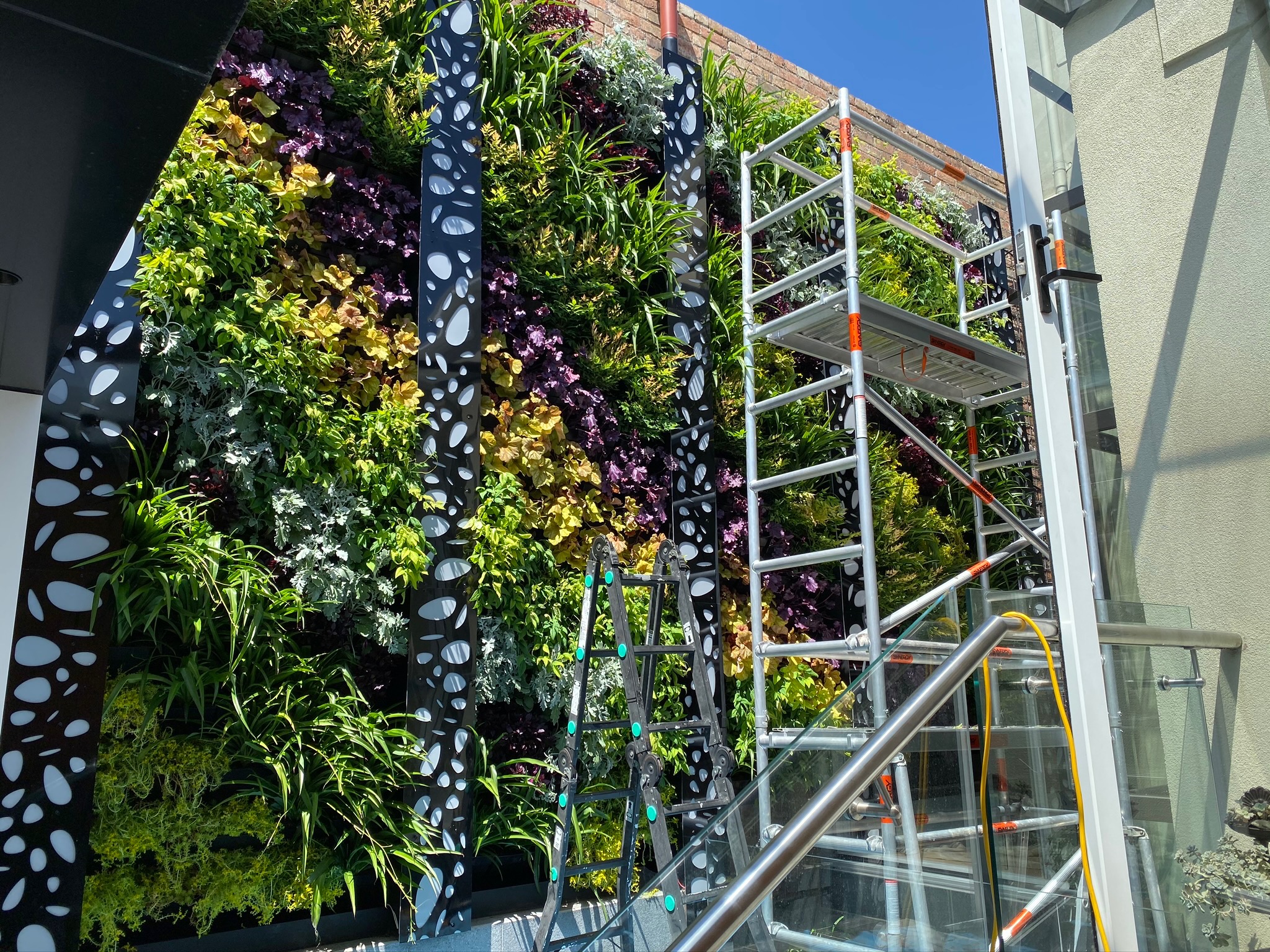 Decorative Metal Screens Melbourne – Vertical Gardens Australia
