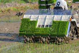 Global Rice Transplanter Market Analysis | Industry Report 2027