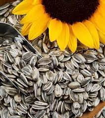 Global Sunflower Seeds Market Analysis | Industry Report 2027
