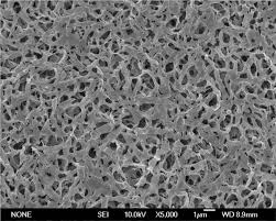 Global PVDF Membrane Market Analysis | Industry Report 2026