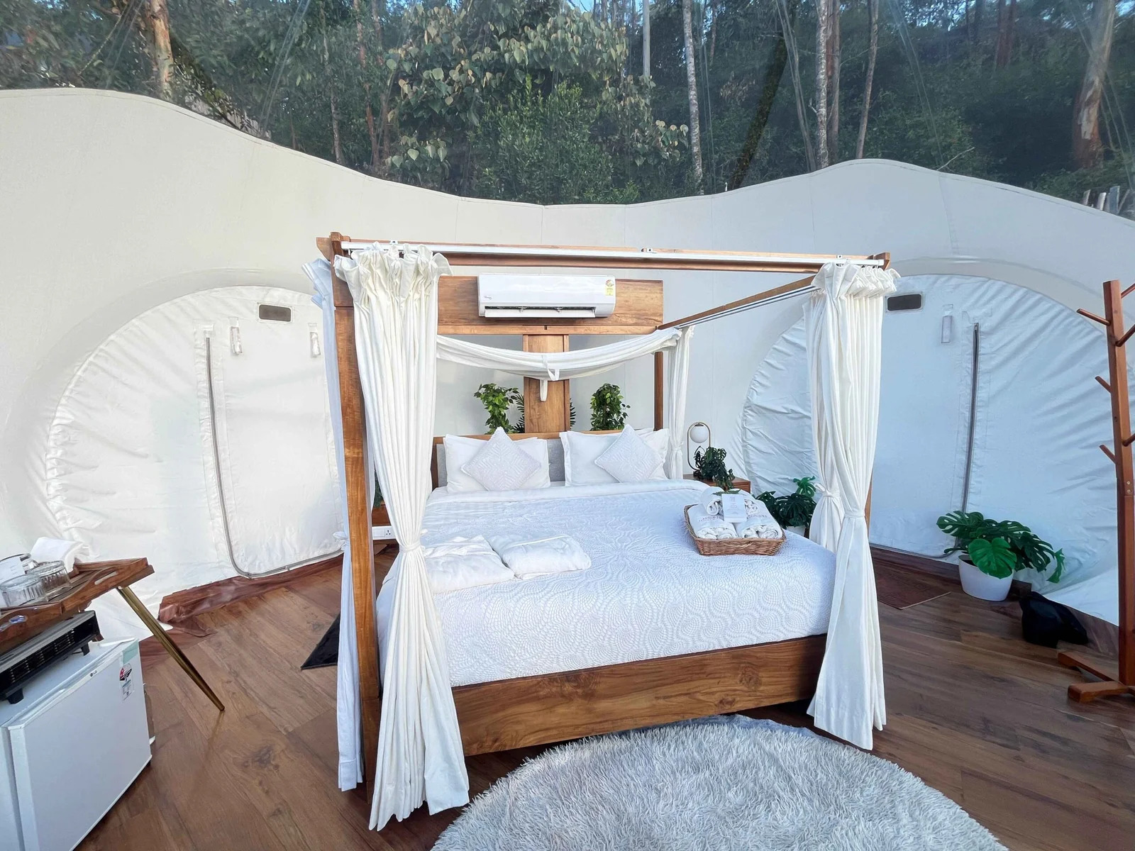 LuxeGlamp Escapes : Hill Top Staycation & Luxury Glamping in Munnar