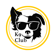 K9CLUB – Điểm Đến Lý Tưởng Cho Mọi Tín Đồ Giải Trí