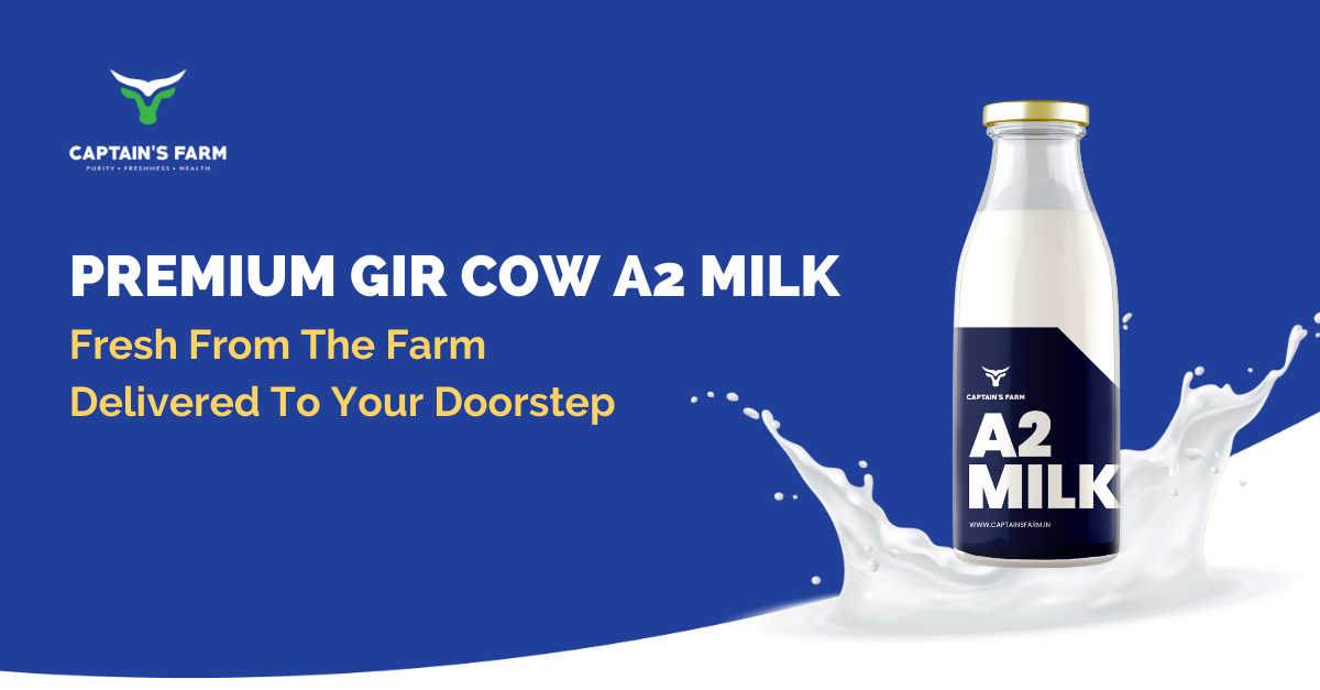 Why A2 Milk from Gir Cows is Becoming Mumbai’s Healthiest Choice