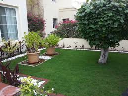 Landscape Grass In Dubai