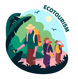 South Korea Ecotourism Market Size, Growth & Forecast 2025-2033