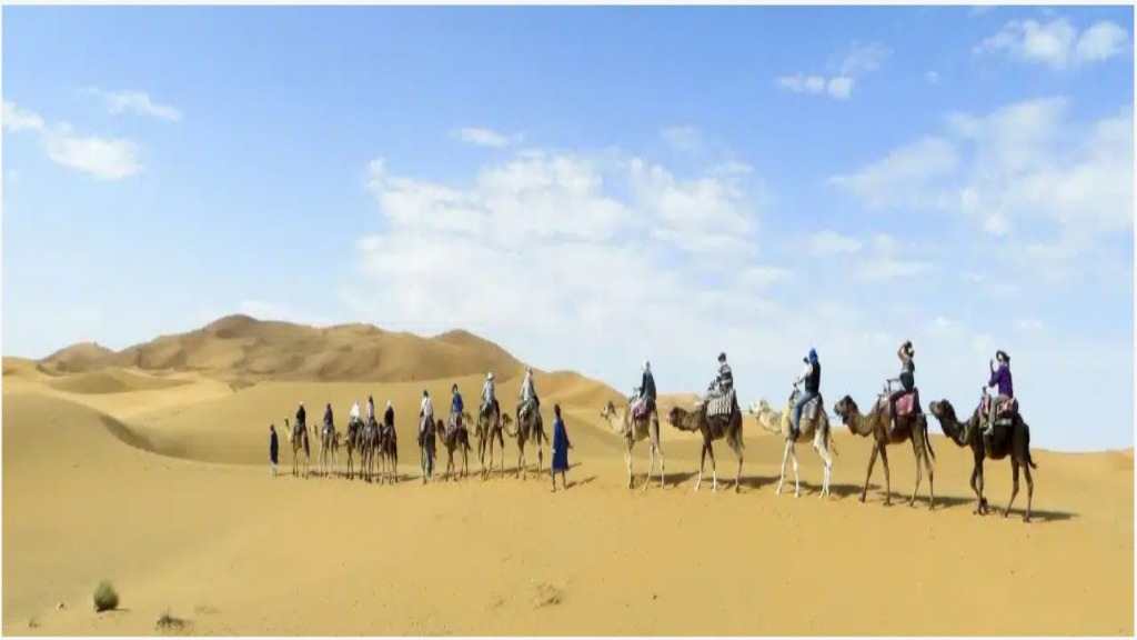 From Casablanca to the Corners of Morocco: A Complete Experience with Every Step