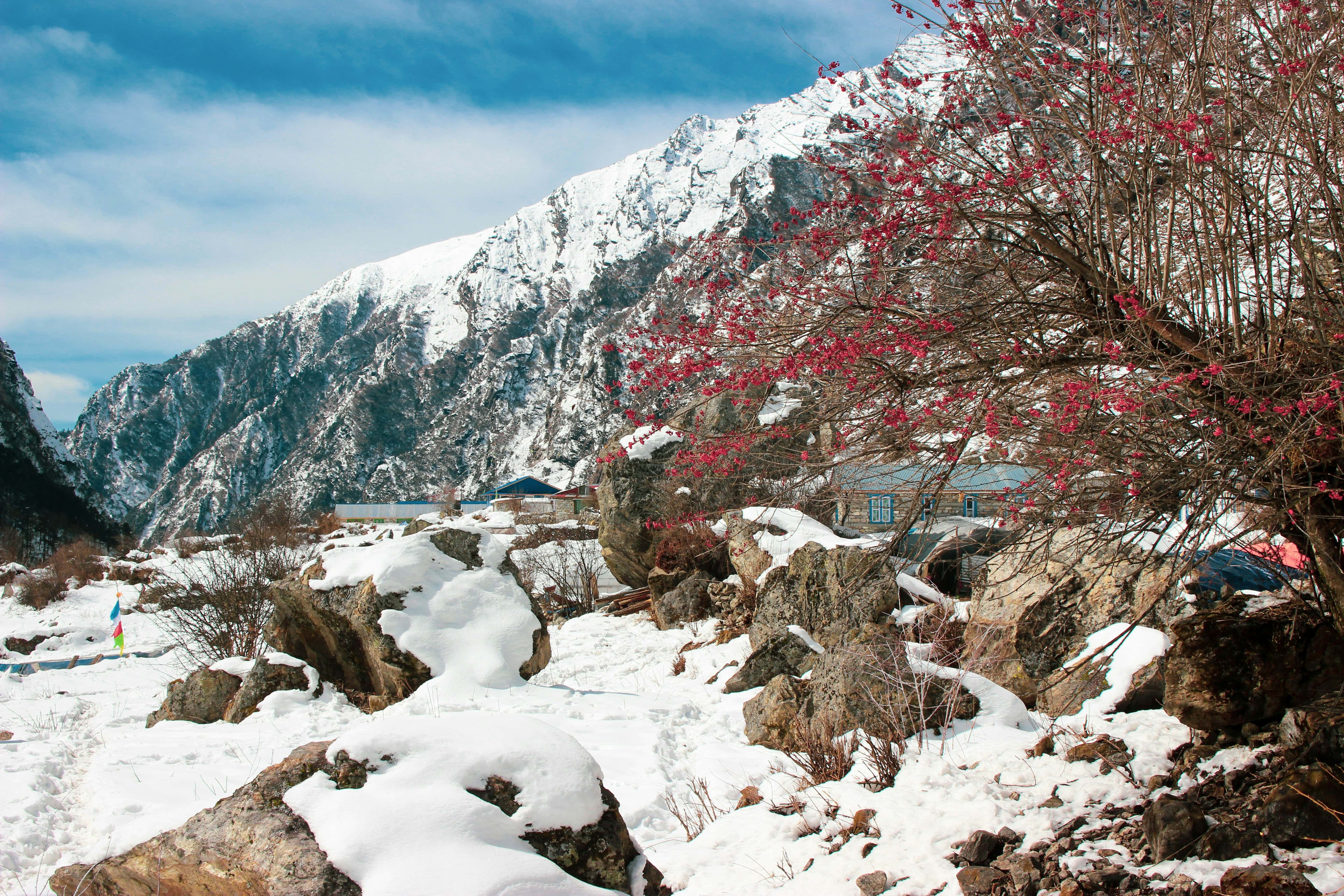 Finding Peace in the Mountains: My Langtang Valley Trek