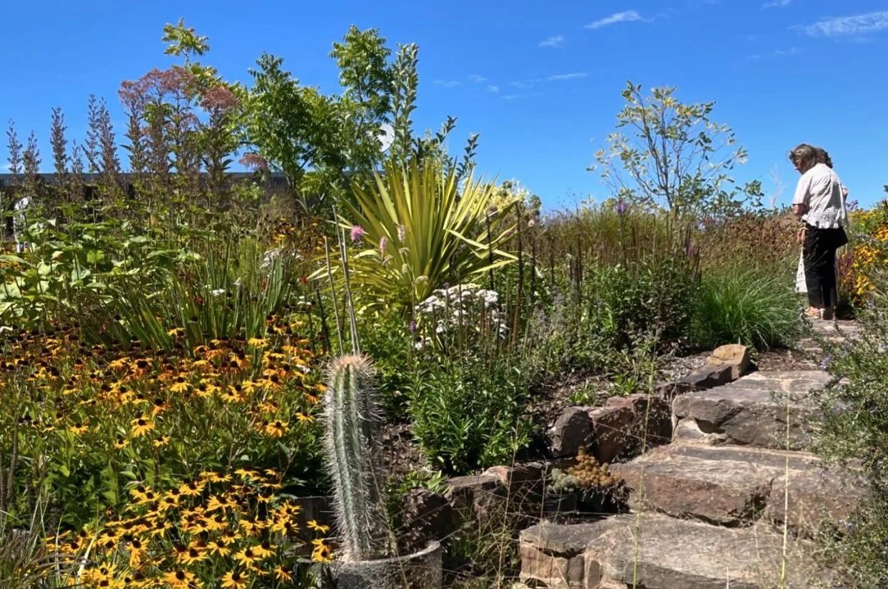 Benefits of Hiring a Local Kew Landscaping Company