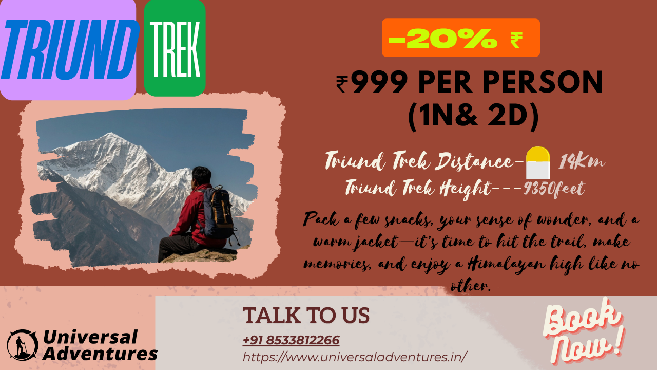Got a 5-Year Old? Bring Them and Hit the Triund Top!