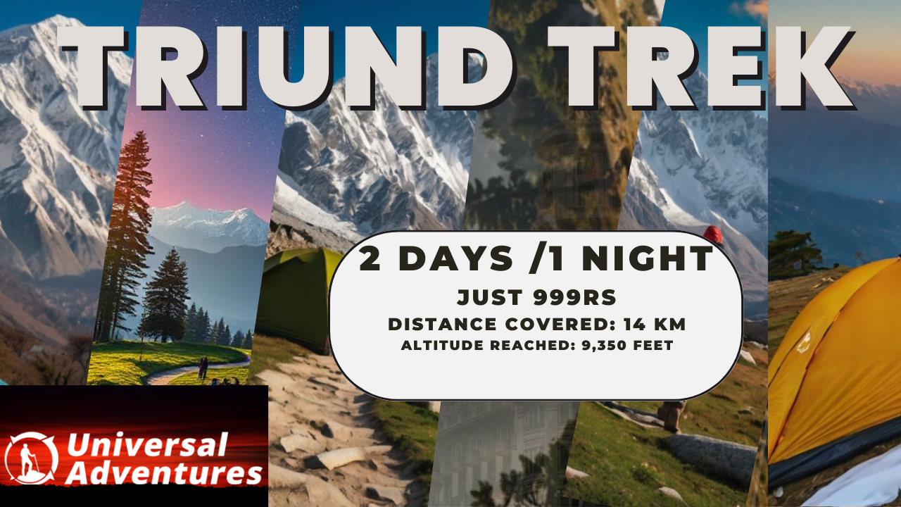 Triund Trek Height: Climb to Calm!